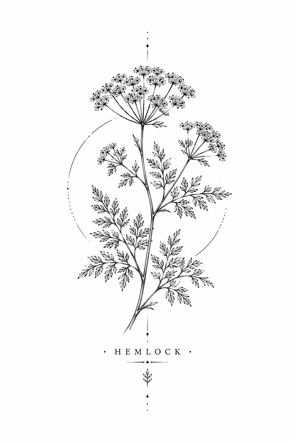 Hemlock