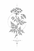 Hemlock