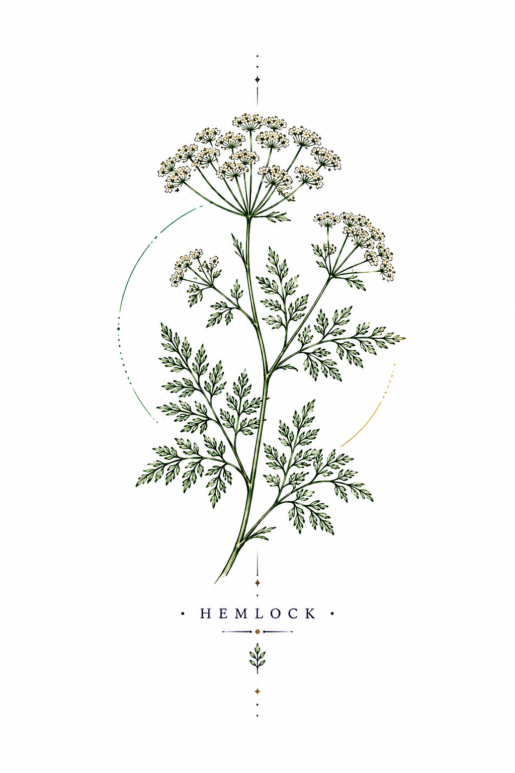 Hemlock